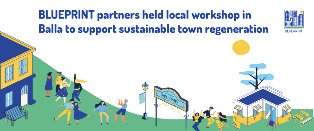 BLUEPRINT partners during the Balla local workshop in Ireland